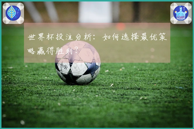 世界杯投注分析：如何选择最优策略赢得胜利？