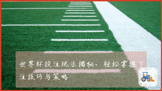 世界杯投注玩法揭秘，轻松掌握下注技巧与策略