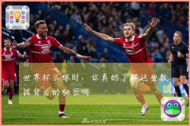 世界杯买球时，你真的了解这些数据背后的秘密吗
