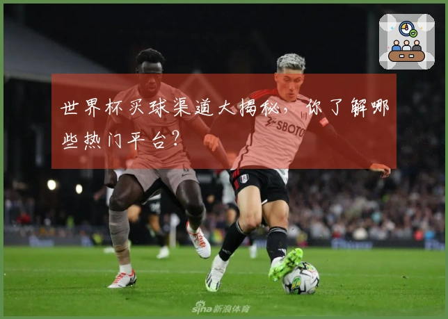 世界杯买球渠道大揭秘，你了解哪些热门平台？