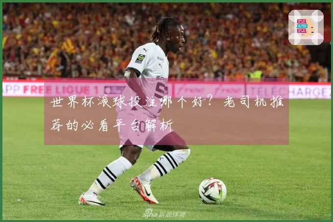 世界杯滚球投注哪个好？老司机推荐的必看平台解析