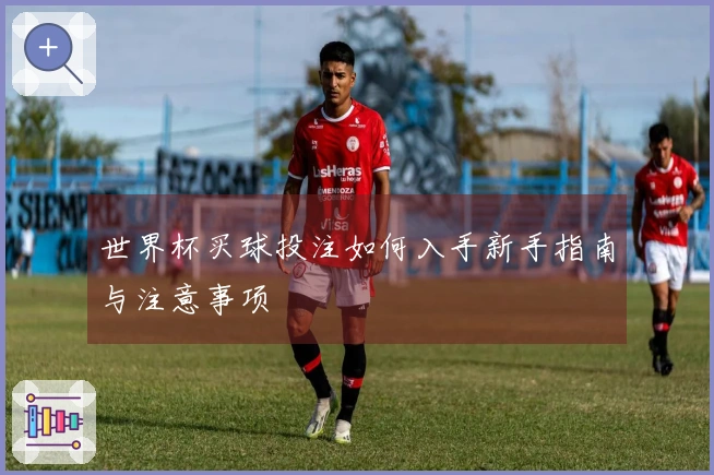 世界杯买球投注如何入手新手指南与注意事项