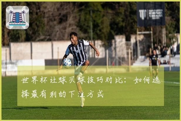 世界杯让球买球技巧对比：如何选择最有利的下注方式