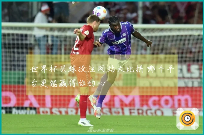世界杯买球投注网站大比拼 哪个平台更能赢得你的心