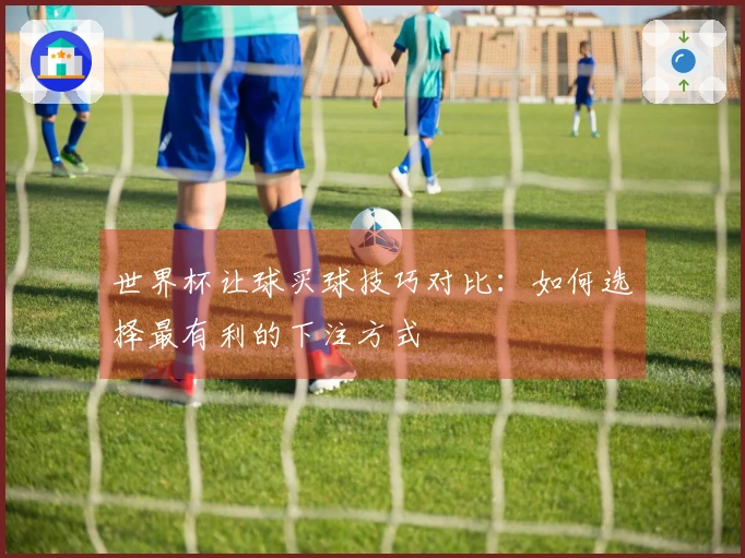 世界杯让球买球技巧对比：如何选择最有利的下注方式