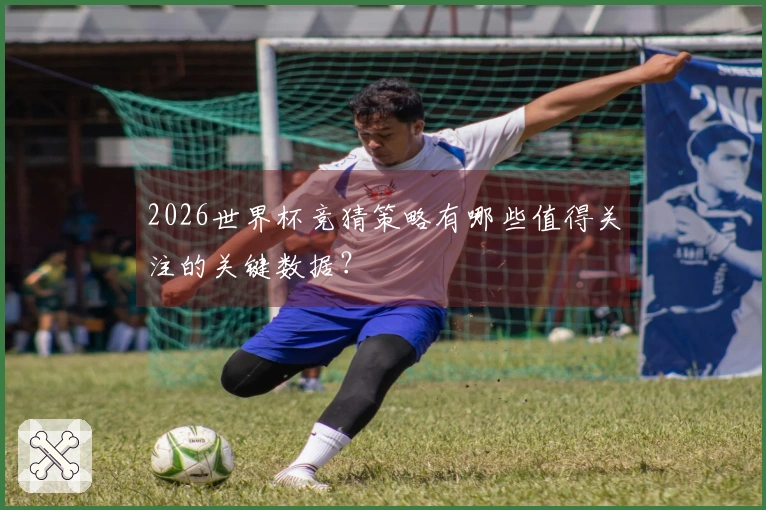 2026世界杯竞猜策略有哪些值得关注的关键数据？